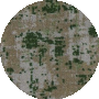 Meadow