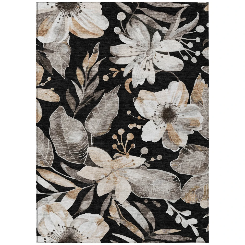 Chantille ACN2260 Black 2'6