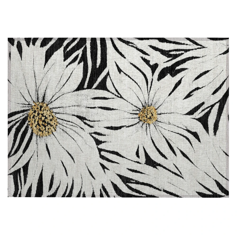 Chantille ACN2263 Black 1'8