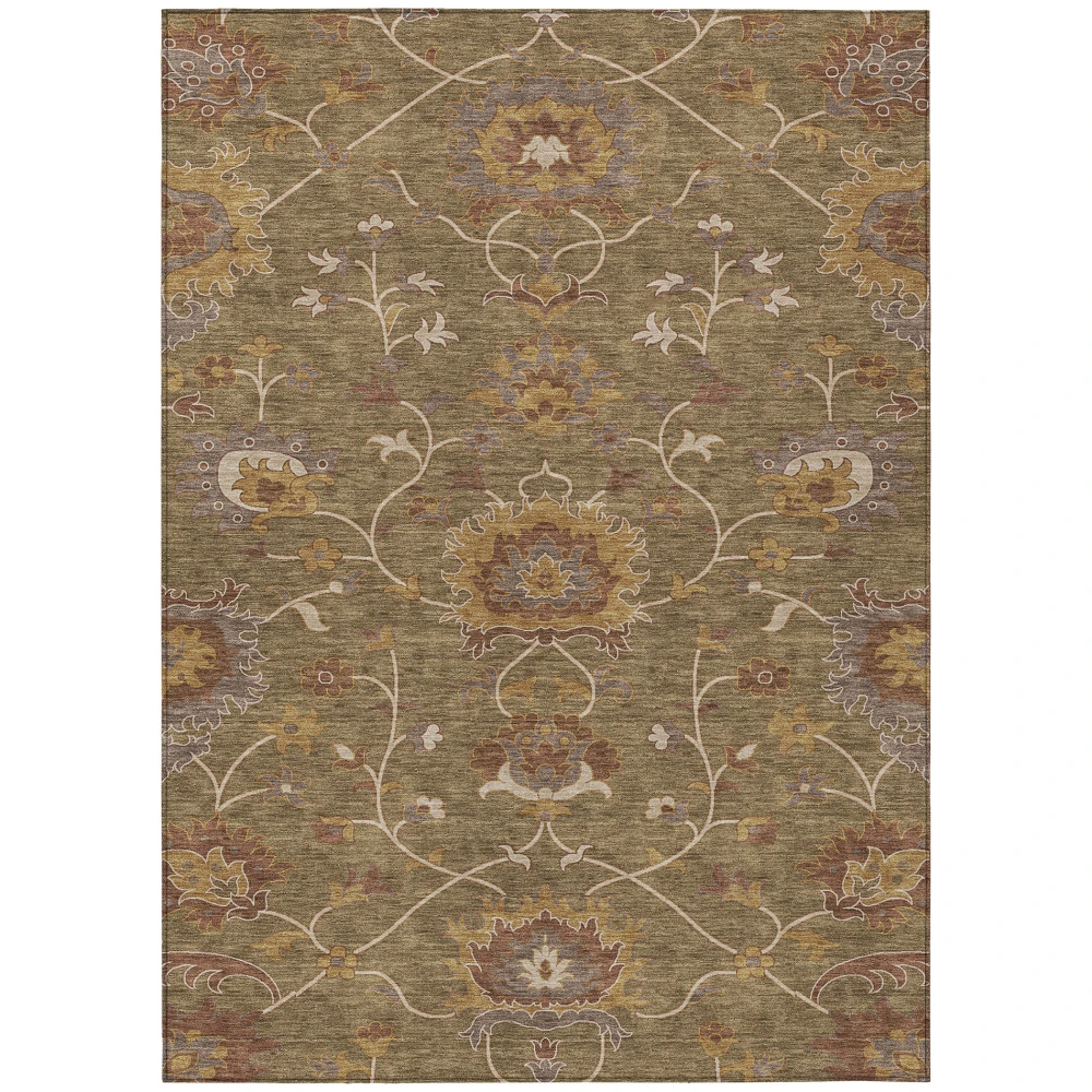 Chantille ACN2290 Brown 2'6