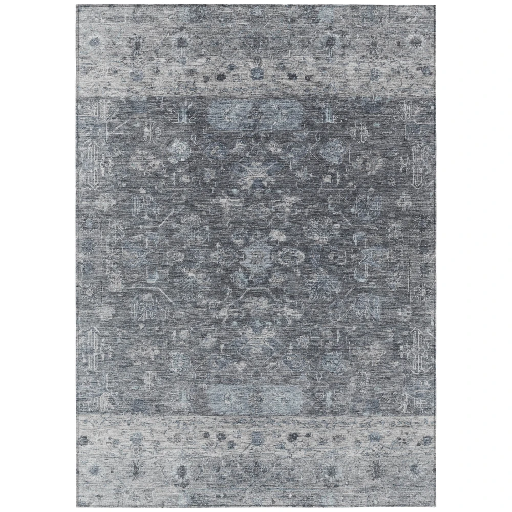 Chantille ACN2323 Gray 2'6