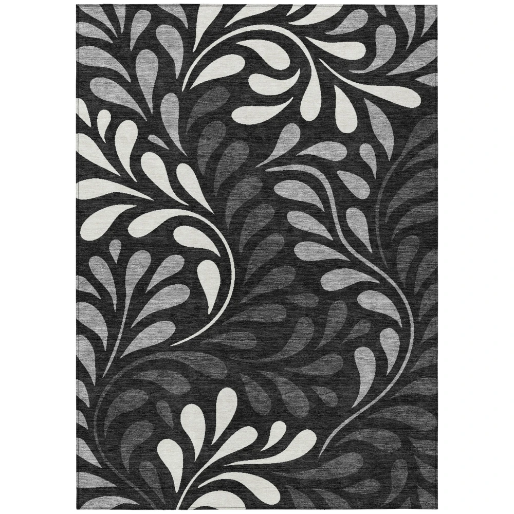Chantille ACN2411 Black 2'6