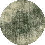 Basil