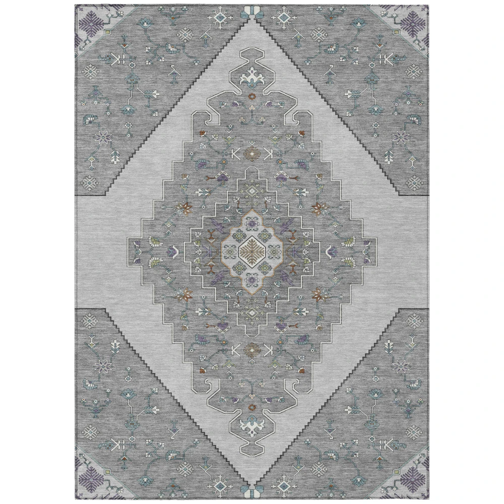 Chantille ACN2472 Gray 2'6