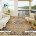 Image 13