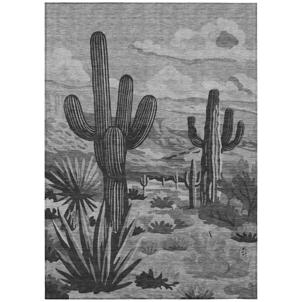 Chantille ACN2496 Gray 2'6