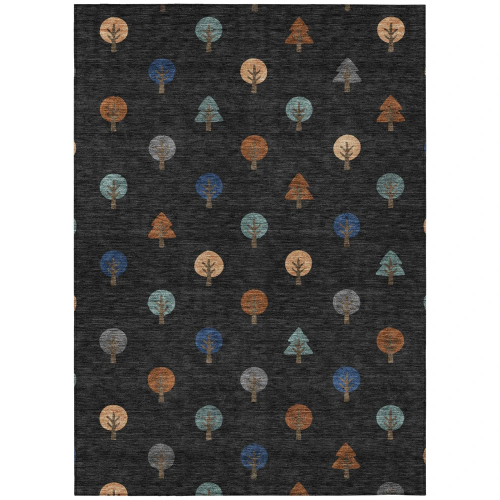 Chantille ACN2550 Black 5' x 7'6