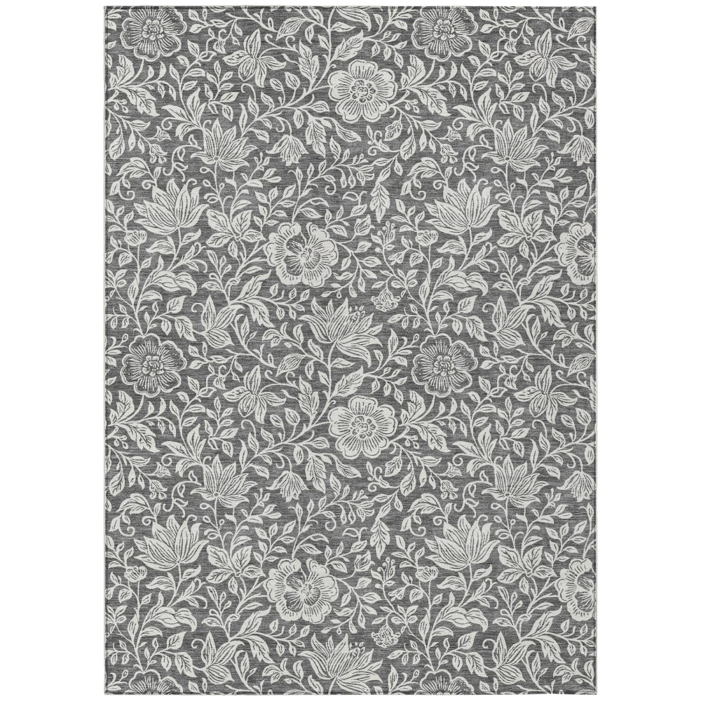 Chantille ACN2572 Gray 2'6