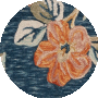 Blue / Orange