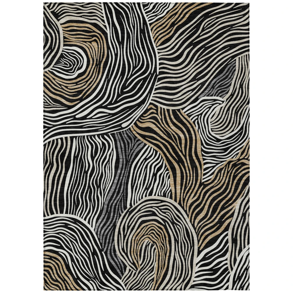 Chantille ACN2603 Black 5' x 7'6