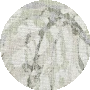 Celery