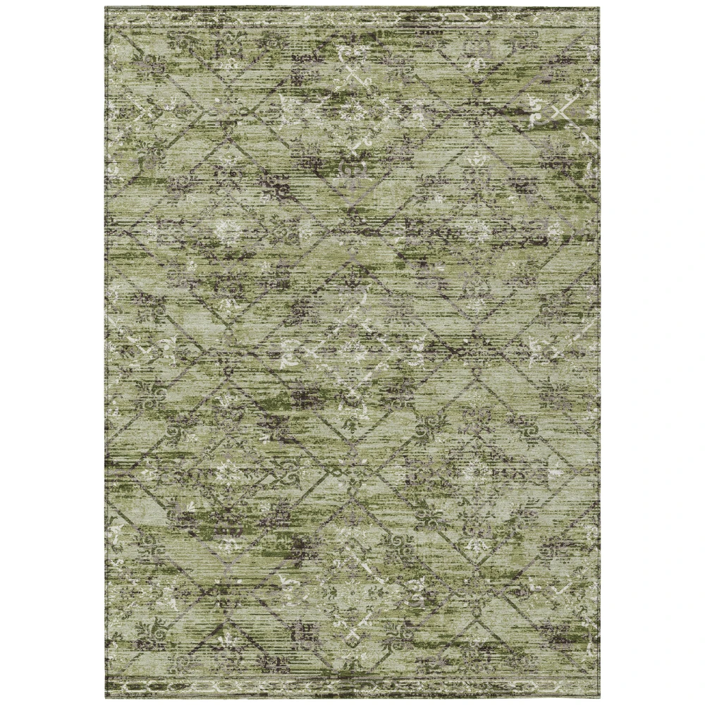 Chantille ACN2665 Fern 2'6